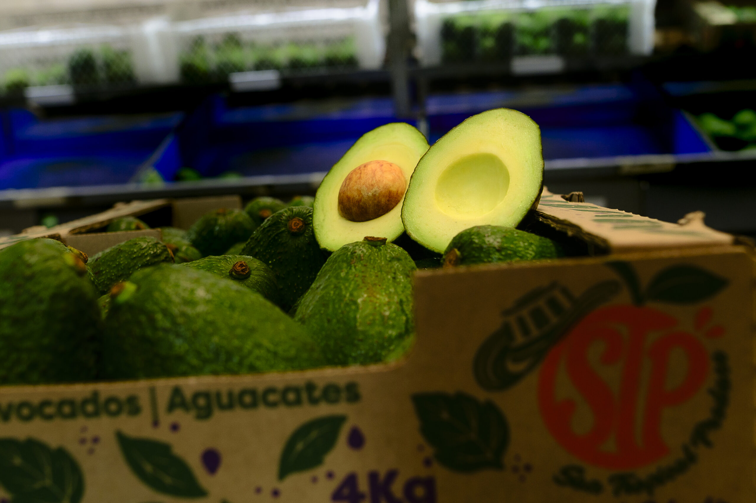 avoreal